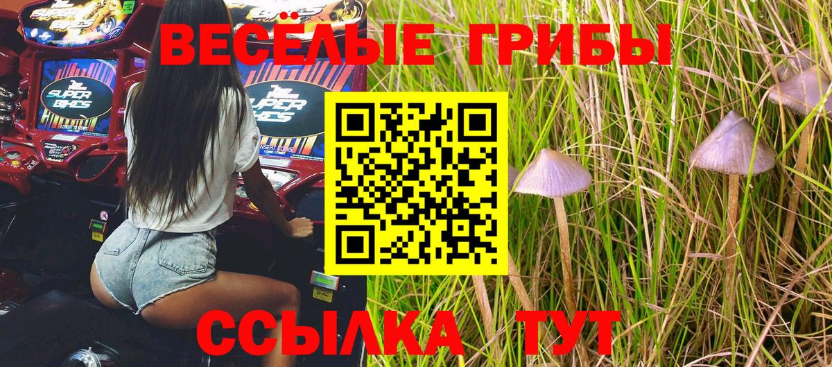 Псилоцибиновые грибы Magic Shrooms  Вход с VPN  Крымск 