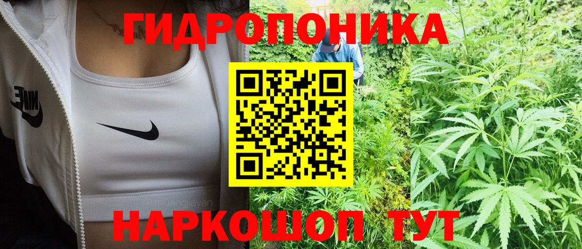 МАРИХУАНА семена Крымск